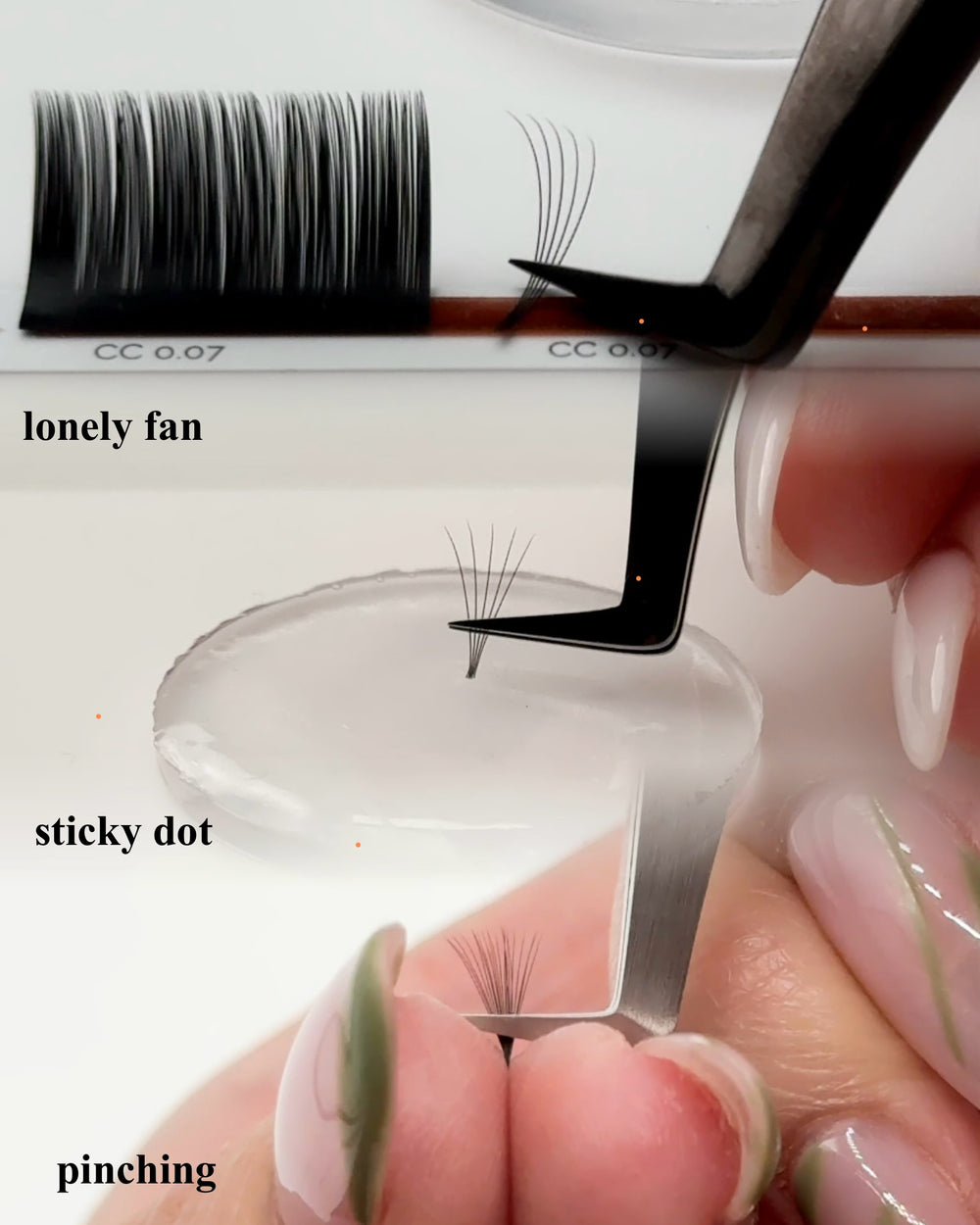 An overview of the lash training techniques used for volume lashes to include lonely fan, sticky dot, pinching.